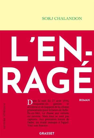 Couverture d’ouvrage : L'enragé