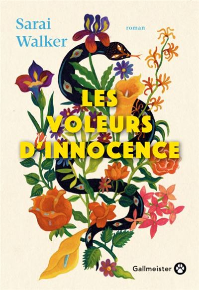 Couverture d’ouvrage : Les voleurs d'innocence